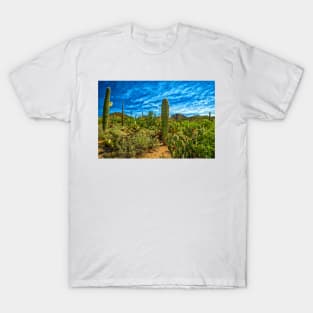 Saguaro National Park T-Shirt